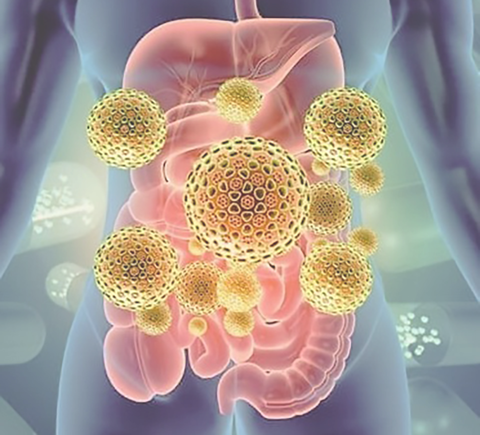 Part Three: The Gut and Detoxification