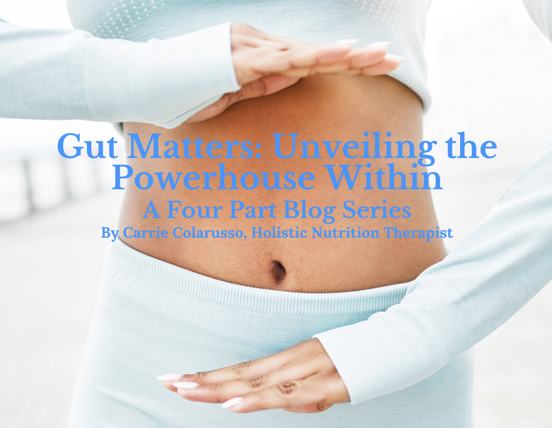 Gut Matters: Unveiling the Powerhouse Within - A Four Part Blog Series